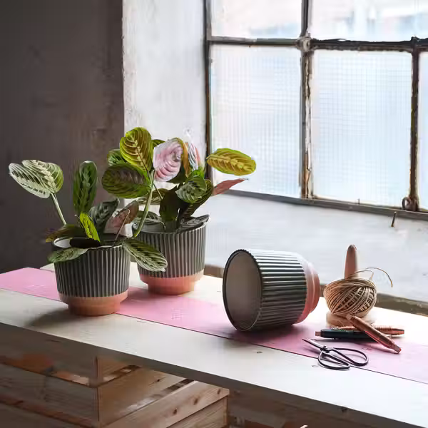 MÄVINN МЭВИНН Кашпо - зеленый/песочный - фото 4