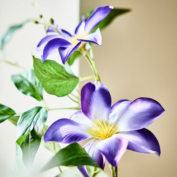 SMYCKA Цветок искусственный - д/дома/улицы клематис/синий 97 см - схема-чертеж с размерами