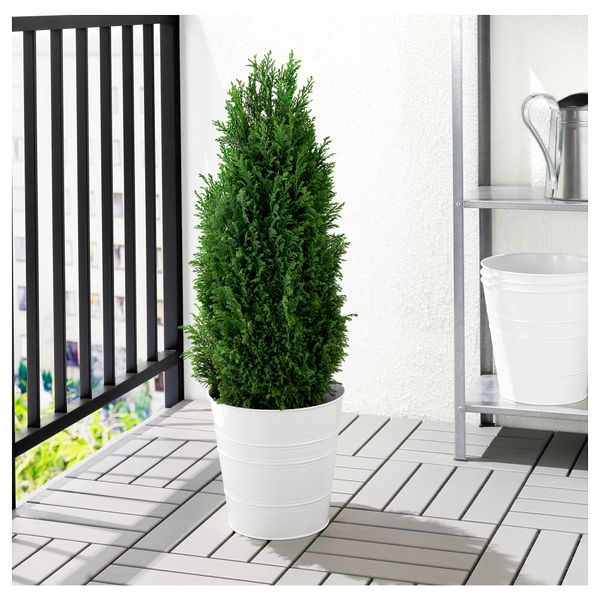 Кашпо СОККЕР, д/дома/улицы белый - фото 3