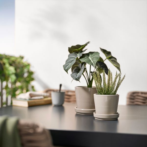 Искусственное растение в горшке, для дома, улицы Вереск, 9 см IKEA FEJKA ФЕЙКА 906.017.14 - схема-чертеж с размерами