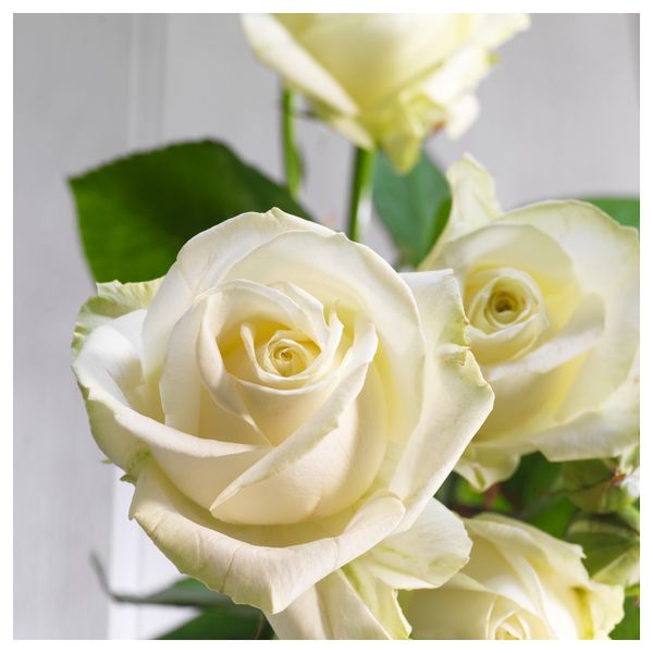 Формовая свеча, ароматическая ВАРАКТИГ, светло-серый роза и ваниль, светло-серый (14 см) - схема-чертеж с размерами