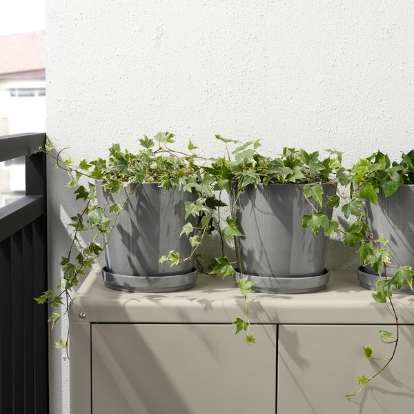 Горшок цветочный с поддоном, для дома, улицы серый, 19 см IKEA CITRUSFRUKT 105.108.31 - фото 4