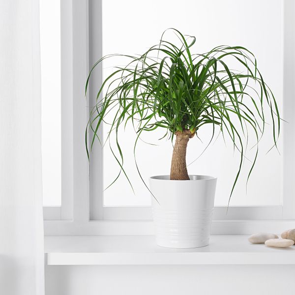 IKEA, дополнительный ракурс - схема-чертеж с размерами