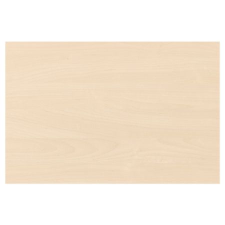 Дверь, береза 60x40 см IKEA СКРОВА 903.861.11
