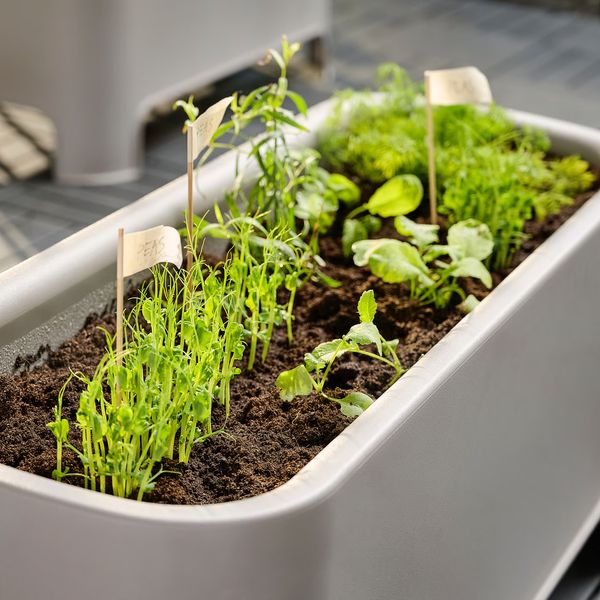 IKEA в интерьере