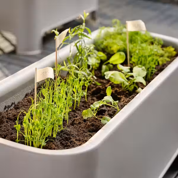 ASPAREN Кашпо - серый для сада 89x38 см - фото 3