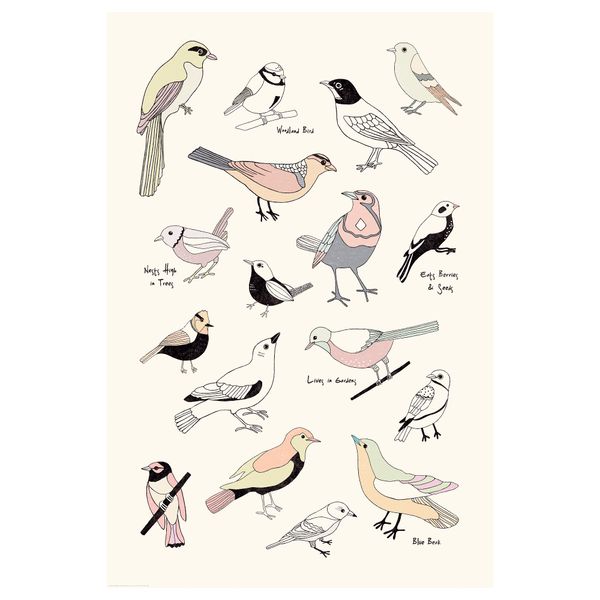 Постер, Птицы, 61x91 см IKEA DRÖMBILD ДРЁМБИЛЬД 904.417.92 - фото 1