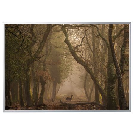 Картина с рамой, Лань/цвет алюминия 200x140 см IKEA БЬЁРКСТА 292.978.59