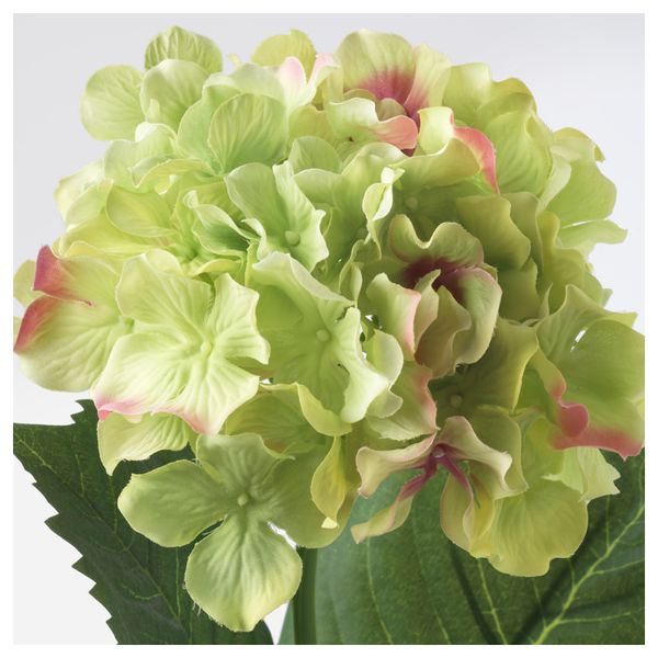 Цветок искусственный СМИККА, Гидрангея, зеленый (60 см) - схема-чертеж с размерами