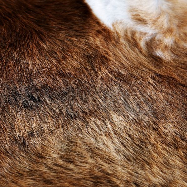 Коровья шкура, коричневый IKEA KOLDBY КОЛЬДБИ 303.708.63 - фото 4