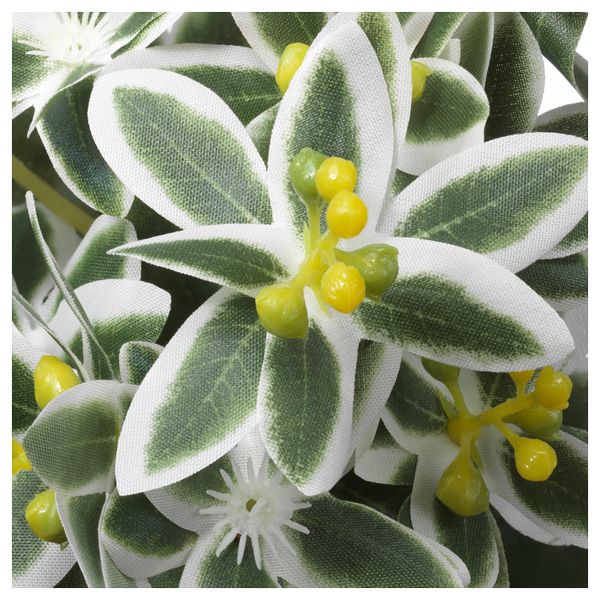 Искусственное растение в горшке ФЕЙКА, Молочай разноцветный (9 см) - схема-чертеж с размерами