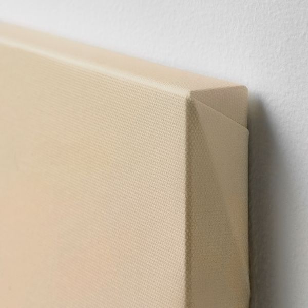 Картина, Лань, 60x60 см IKEA PJÄTTERYD ПЬЕТТЕРИД 406.187.74 - схема-чертеж с размерами