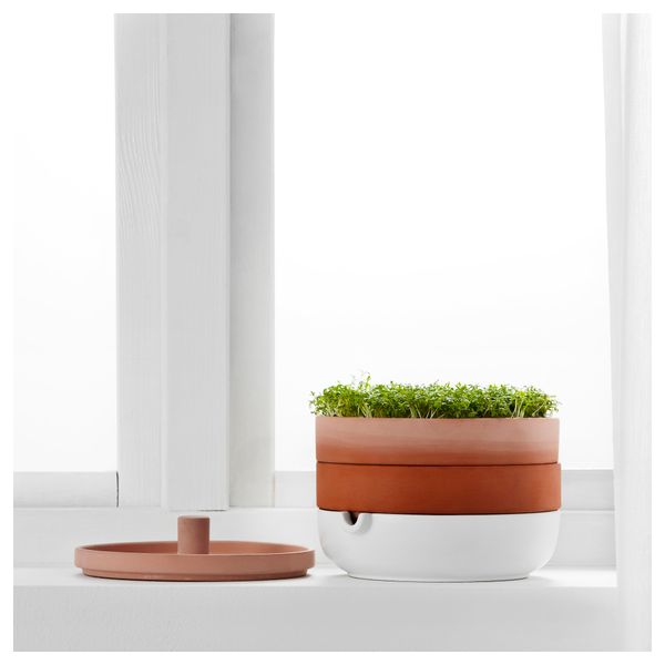 Проращиватель, 2 яруса АНВЭНДБАР - фото 3