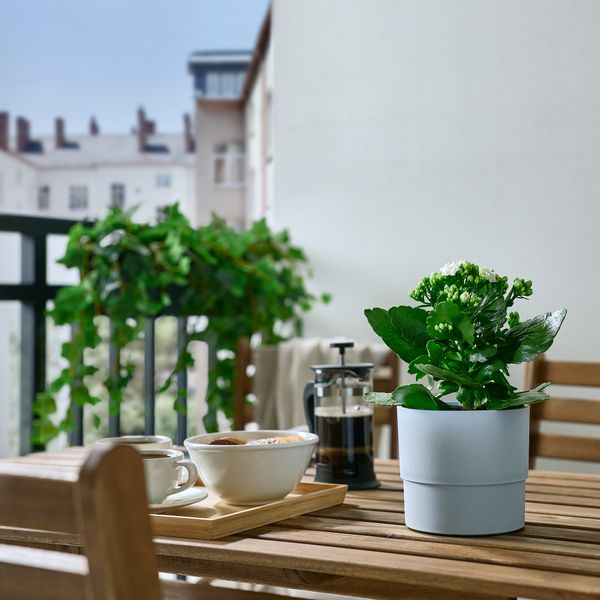 Кашпо, 12 см, для дома, улицы бледно-голубой IKEA NYPON НИПОН 905.451.48 - фото 4