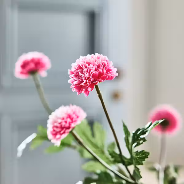 SMYCKA Цветок искусственный - д/дома/улицы Хризантема/розовый 75 см - схема-чертеж с размерами