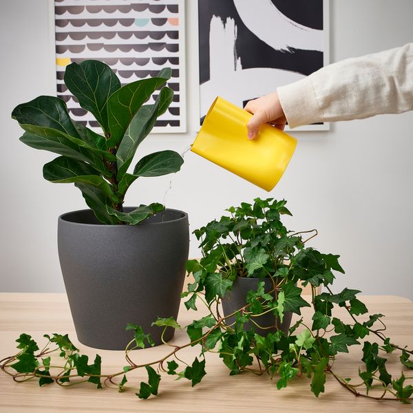 Ваза-лейка, 17 см, ярко-желтый IKEA CHILIFRUKT ЧИЛИФРУКТ 405.451.36 - схема-чертеж с размерами