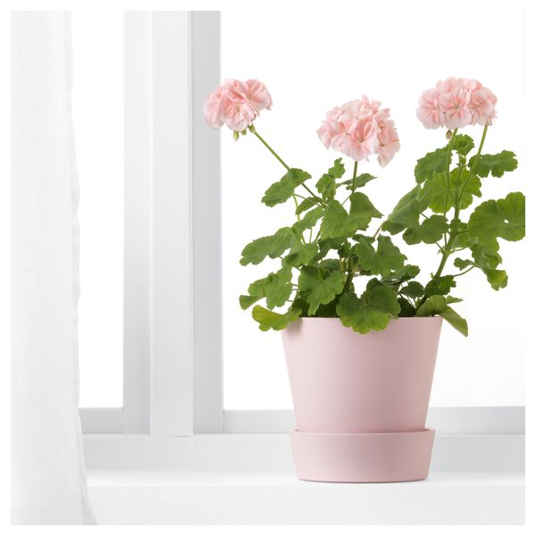 Горшок цветочный с поддоном СЕНАП, розовый (15 см) - фото 2