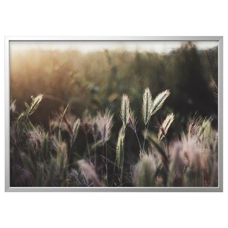 Картина с рамой, Сияющий закат/цвет алюминия 140x100 см IKEA BJÖRKSTA БЬЁРКСТА 994.167.93