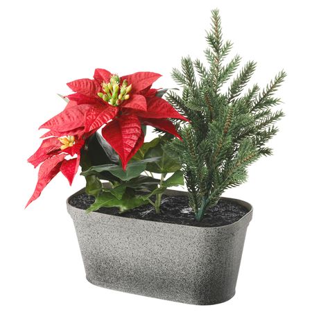 Искусственное растение и кашпо, оформление, овал красный IKEA ВИНТЕРФЕСТ 404.330.06