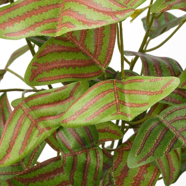 FEJKA Искусственное растение в горшке - д/дома/улицы Растение-бабочка 9 см - схема-чертеж с размерами