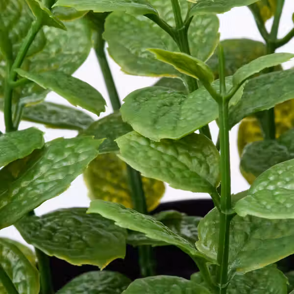 FEJKA Искусственное растение в горшке - д/дома/улицы Мята 9 см - схема-чертеж с размерами