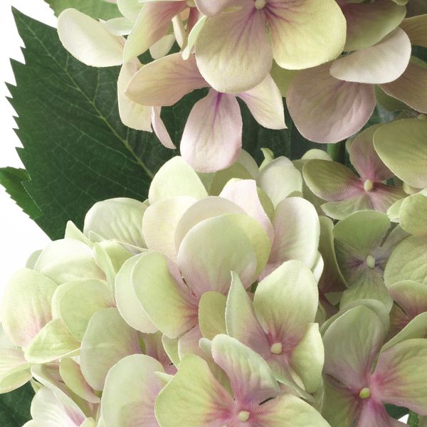 Искусственное растение в горшке, для дома, улицы/Гидрангея зеленый 12 см IKEA FEJKA ФЕЙКА 505.054.08 - схема-чертеж с размерами