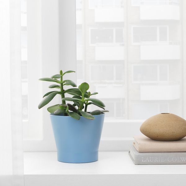 Кашпо, синий 9 см IKEA ПАПАЙА 204.216.98 - фото 2