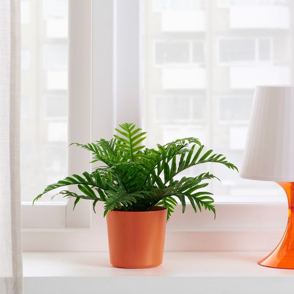 Кашпо, для дома, улицы оранжевый 9 см IKEA OMFÅNG ОМФОНГ 804.834.00 - фото 2