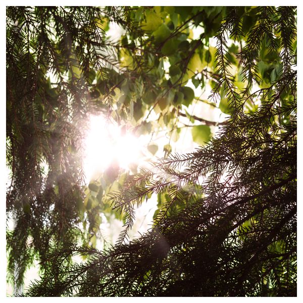 Формовая свеча, ароматическая УТРЕДД, зеленый, Лес (10 см) - схема-чертеж с размерами