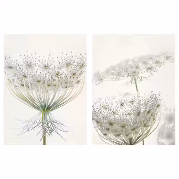 BILD Постер - Нежное цветение 30x40 см фото товара