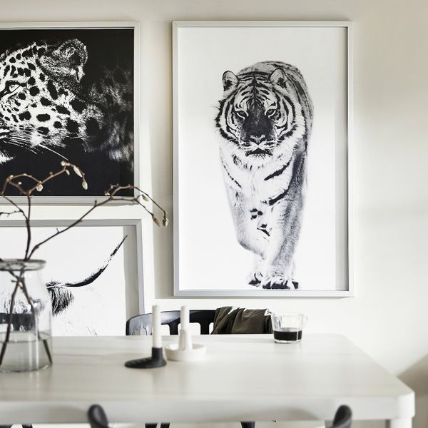 Картина с рамой, Гепард/цвет алюминия 118x78 см IKEA BJÖRKSTA БЬЁРКСТА 294.163.29 - схема-чертеж с размерами