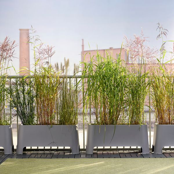 IKEA в интерьере