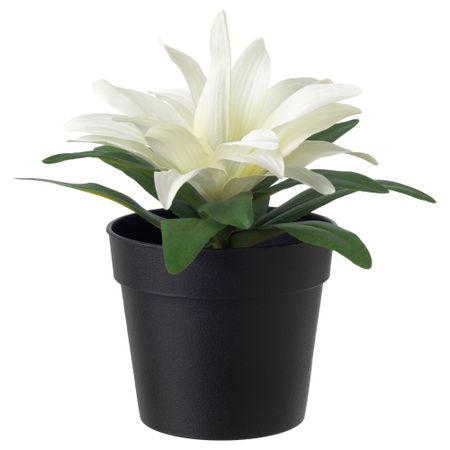 Искусственное растение в горшке ФЕЙКА, Бромелия белый (9 см)