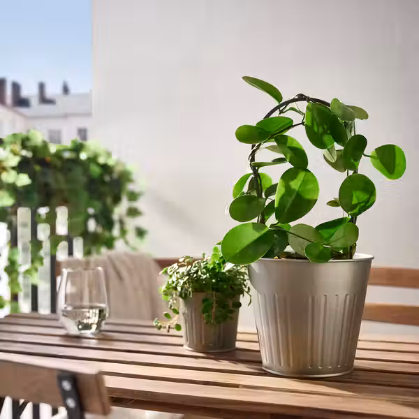 CITRONMELISS Кашпо - д/дома/улицы/серый 15 см - фото 3