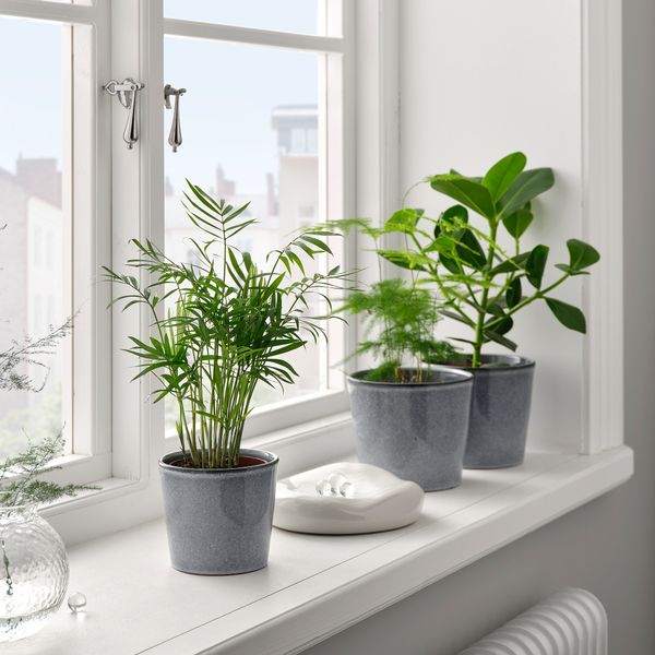 Кашпо, для дома, улицы, серый, 9 см IKEA FJÄRILSBUSKE 105.866.61 - фото 3