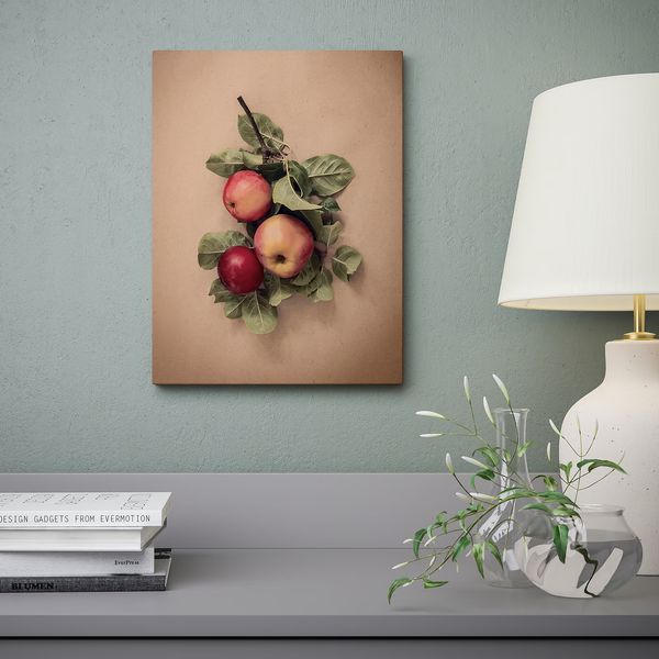 PJÄTTERYD Картина - Листья и яблоки 30x40 см - фото 2