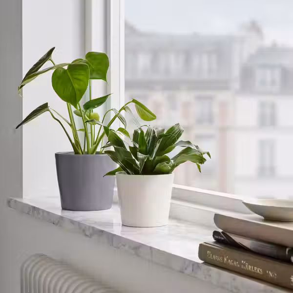 SOJABÖNA СОЙАБОНА Кашпо - белый 9 см - фото 5