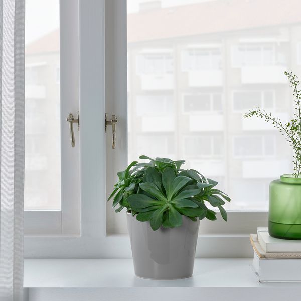 Кашпо, для дома, улицы серый, 9 см IKEA SKOGSVINBÄR СКОГСВИНБЭР 805.084.48 - фото 5