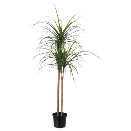 Искусственное растение в горшке ФЕЙКА, д/дома/улицы, Драцена окаймленная (19 см)