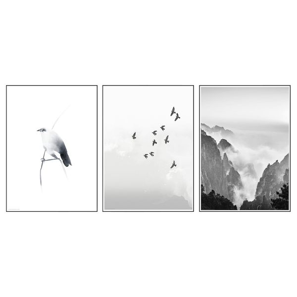 Постер, Птица на ветке 50x70 см IKEA BILD БИЛЬД 504.914.68 - фото 1