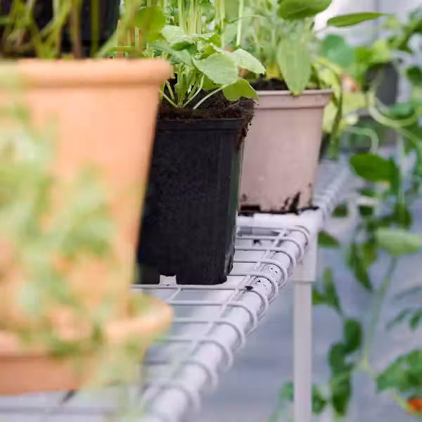 ASPAREN Теплица - прозрачный белый 123x190x190 см - фото 6