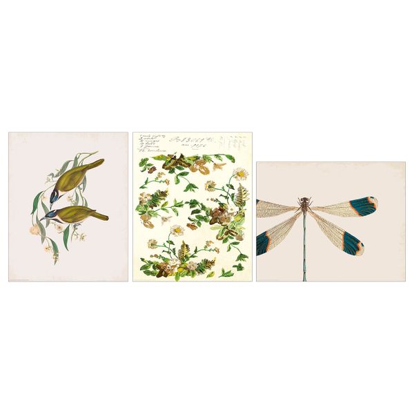 Постер, Стрекоза 40x50 см IKEA БИЛЬД 904.657.64 - схема-чертеж с размерами