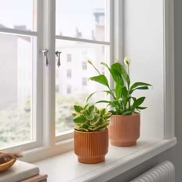 HONUNGSPALM ХОНУНГСПАЛМ Кашпо - д/дома/улицы/коричневый 12 см - фото 2