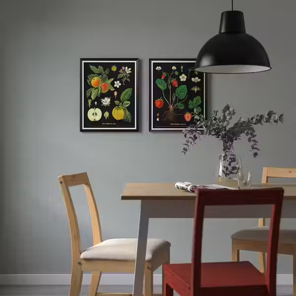 KNOPPÄNG Рама с постером - Винтажные изображения фруктов 40x50 см - схема-чертеж с размерами