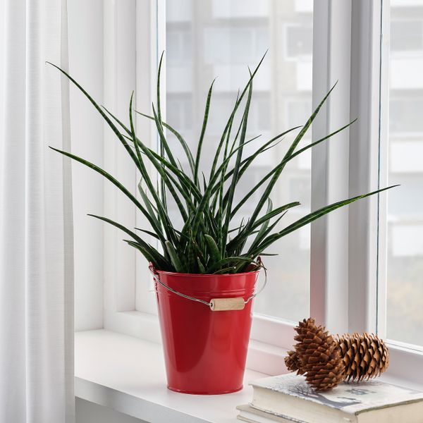 Ведро/горшок, для дома, улицы/красный 2.5 л IKEA SOCKER СОККЕР 904.643.78 - фото 2