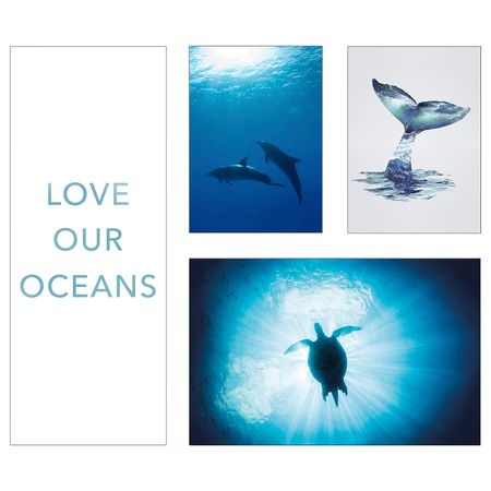 Набор картин, 4 штуки, Подводный мир 92x78 см IKEA PJÄTTERYD ПЬЕТТЕРИД 404.956.12