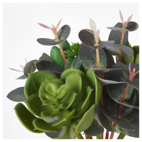 Искусственный букет СМИККА, Суккулент, зеленый (24 см) - схема-чертеж с размерами