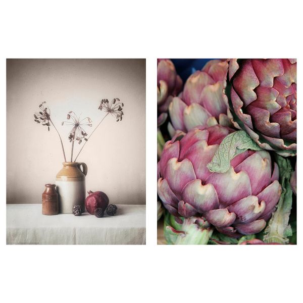 Постер, Артишоки 30x40 см IKEA BILD БИЛЬД 705.076.42 - фото 1