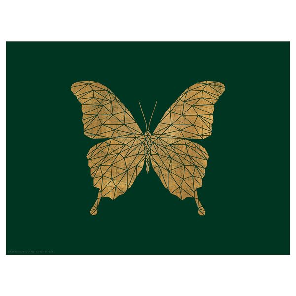 Постер, Бабочка, 40x30 см IKEA DRÖMBILD ДРЁМБИЛЬД 604.361.17 - фото 2