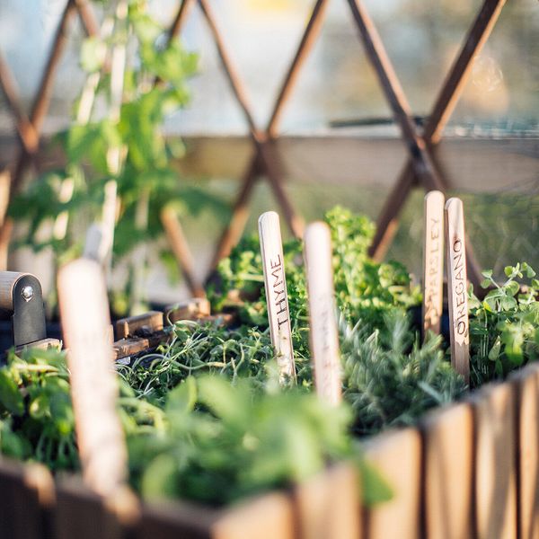 Ароматическая свеча в контейнере, Травы/зеленый 10 см IKEA PÅKOSTAD ПОКОСТАД 905.081.03 - фото 3